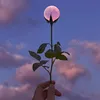 random_thought_