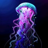 jellyfish_diving