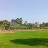 nguyenmyhuy60