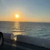 moohaam26