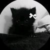 miauwtou
