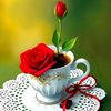 ibrahimdear1