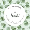 hachi.art__