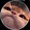 cod_gaminglol