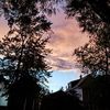 mando_333