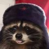 thatrandomraccoon
