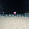 alvin_h100