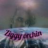 ziggyorchin6661999