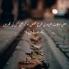 user213736asad.bahi