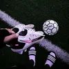 vankhanhho7