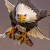 ahmed7222