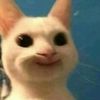 user20969850