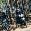bandit135987