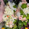 farha_naaz25