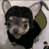 ethancontreras15