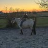buckaroo__barbie