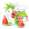 shaymin67