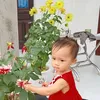 hothuytrang2708