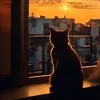 ienne_00