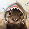 luanatjuhh
