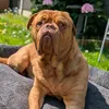 tysonb67