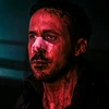 rayangosling2049