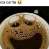 castrocatrachito