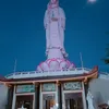 nguyenthon8