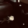 naiilaa.4