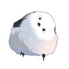 siyul107