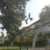 losteagle_107