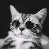 alexey_7
