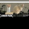 http_monke