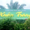 khangvinhsd