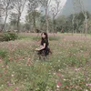 minhchau_1994