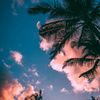 mariyam224488