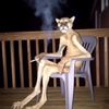 pig_vomit10