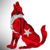 26_ercan_26