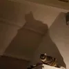 gussia2_