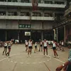 timrasuthat.vn
