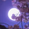 fa___991