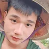 vancai241