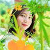 khin.lay81153