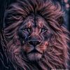 ismailyasir02