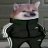 n1maxxx
