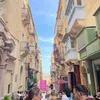 2533672578tiktok