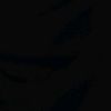 user00000000002612888