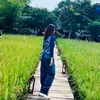 quy_dang
