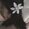 urlove.s00