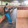 .anak.lanang22